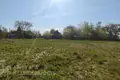 House 33 m² Turynski sielski Saviet, Belarus