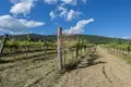 Коммерческое помещение 7 000 м² San Giovanni Valdarno, Италия