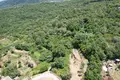 Land  Radanovici, Montenegro