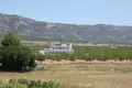 4 bedroom Villa 245 m² el Pinos Pinoso, Spain