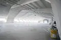 Warehouse 5 rooms 300 m² in Aronava Slabada, Belarus