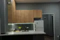 1 Bedroom Apartment for Rent in Tbilisi
