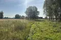 Atterrir 17 300 m² Kokneses pagasts, Lettonie