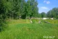 Parcelas  Krasnienski sielski Saviet, Belarús