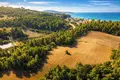 Atterrir 5 800 m² Kassandrino, Grèce