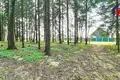 House 119 m² Putcynski sielski Saviet, Belarus