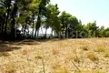 Земельные участки 4 250 м² Каллитеа, Греция