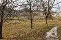 Działki  Telminski sielski Saviet, Białoruś