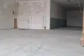 Коммерческое помещение 330 м² в Алитусе, Литва