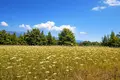 Parcelas 4 218 m² Kassandrino, Grecia