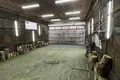 Manufacture 132 m² in Dubrovienski sielski Saviet, Belarus