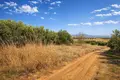 Land 4 000 m² Nea Triglia, Greece