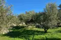 Land 1 room  Likotinerea, Greece