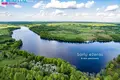 Commercial property 3 274 m² in Sariai, Lithuania