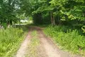 Land  Bolsevrudskoe selskoe poselenie, Russia