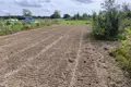 Land  Saskelevo, Russia