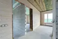 Cottage 280 m² Staroje Sialo, Belarus