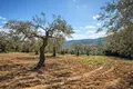 Land 9 400 m² Neos Marmaras, Greece