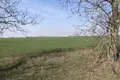 Коммерческое помещение  Лиманка, Украина