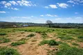 Land 11 817 m² Megali Panagia, Greece