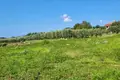 Land  Kastelir, Croatia
