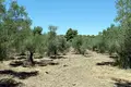 Atterrir 1 chambre  Neos Marmaras, Grèce