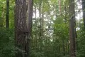 Działki  Odincovskij gorodskoj okrug, Rosja