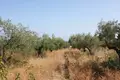 Land 1 room  Municipality of Sithonia, Greece