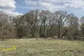 Земельные участки  Демидовичский сельский Совет, Беларусь