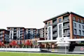 Szeregowiec 5 pokojów 400 m² Basaksehir, Turcja
