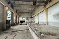 Producción 878 m² en Karelichy, Belarús