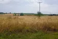 Land 7 250 m² Nea Flogita, Greece