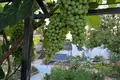 3 bedroom bungalow 160 m² Kamenar, Bulgaria