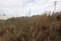 Działki  Burtaisi, Czarnogóra