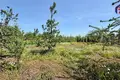 House 87 m² Varkavicy, Belarus