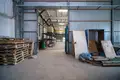 Manufacture 2 311 m² in Dukorski sielski Saviet, Belarus