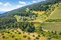 Atterrir 18 780 m² Siviri, Grèce