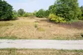 Land 1 room 3 902 m² Otwock, Poland