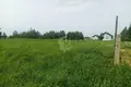  Добринёвский сельский Совет, Беларусь
