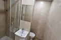 1 bedroom apartment 24 m² okres Ostrava mesto, Czech Republic
