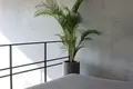 1 bedroom Villa 73 m² Dalung, Indonesia