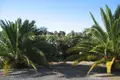 Вилла 5 спален 470 м² Ferreira do Alentejo, Португалия