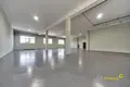 Office 20 rooms 16 m² in Karališčavičy, Belarus