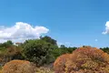 Parcelas  Kokkino Chorio, Grecia