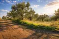 Land 8 500 m² Neos Marmaras, Greece