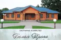 Commercial property 577 m² in Kurylavicki sielski Saviet, Belarus