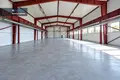 Коммерческое помещение 1 497 м² в Nemezis, Литва