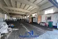 Zakład produkcyjny 338 m² w Smolewicze, Białoruś