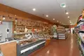 Gewerbefläche 2 300 m² Bekessamson, Ungarn