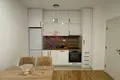 Apartamento 1 habitación 65 m², Montenegro